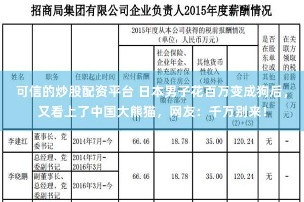 可信的炒股配资平台 日本男子花百万变成狗后，又看上了中国大熊猫，网友：千万别来！