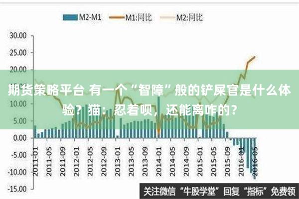 期货策略平台 有一个“智障”般的铲屎官是什么体验？猫：忍着呗，还能离咋的？