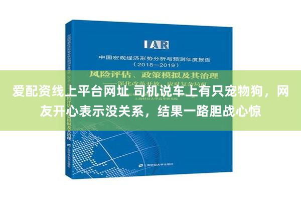 爱配资线上平台网址 司机说车上有只宠物狗，网友开心表示没关系，结果一路胆战心惊