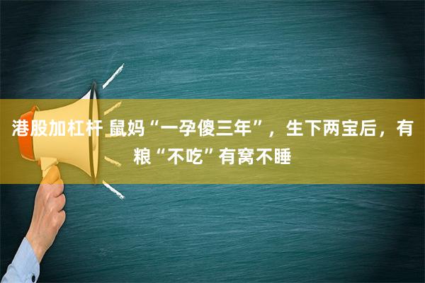 港股加杠杆 鼠妈“一孕傻三年”，生下两宝后，有粮“不吃”有窝不睡