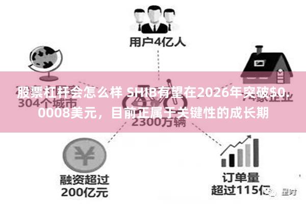 股票杠杆会怎么样 SHIB有望在2026年突破$0.0008美元，目前正属于关键性的成长期