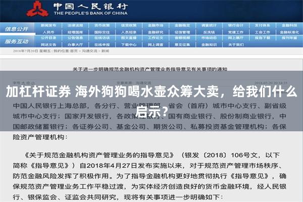 加杠杆证券 海外狗狗喝水壶众筹大卖，给我们什么启示？