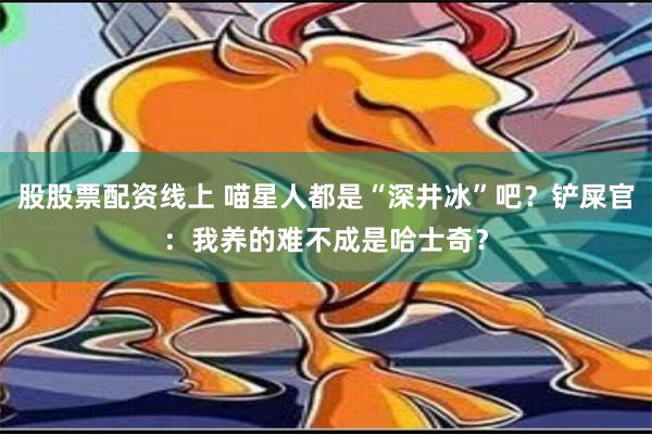 股股票配资线上 喵星人都是“深井冰”吧？铲屎官：我养的难不成是哈士奇？