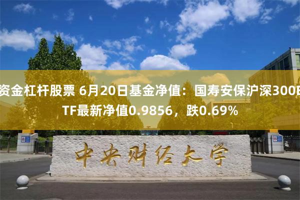 资金杠杆股票 6月20日基金净值：国寿安保沪深300ETF最新净值0.9856，跌0.69%