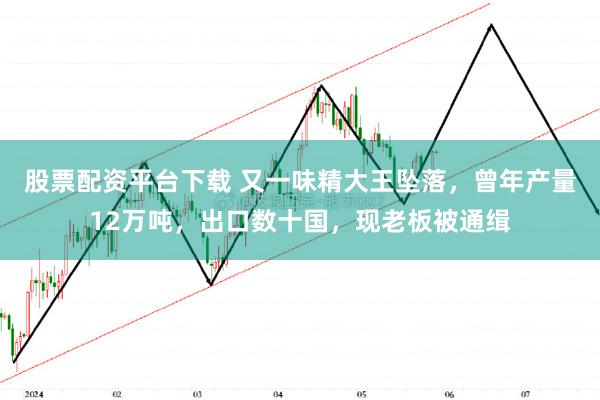 股票配资平台下载 又一味精大王坠落，曾年产量12万吨，出口数十国，现老板被通缉