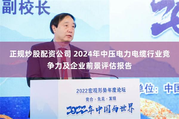 正规炒股配资公司 2024年中压电力电缆行业竞争力及企业前景评估报告