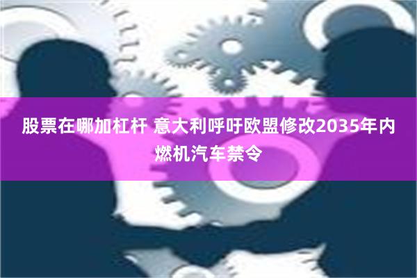 股票在哪加杠杆 意大利呼吁欧盟修改2035年内燃机汽车禁令