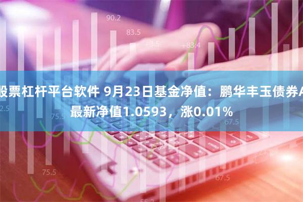 股票杠杆平台软件 9月23日基金净值：鹏华丰玉债券A最新净值1.0593，涨0.01%