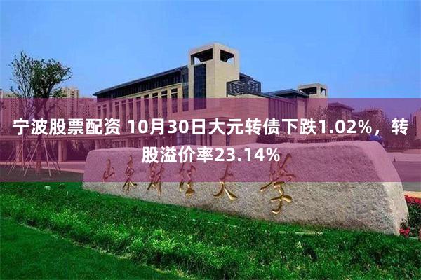 宁波股票配资 10月30日大元转债下跌1.02%，转股溢价率23.14%