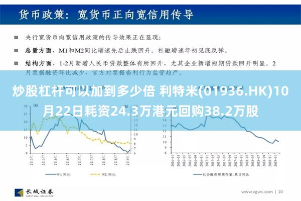 炒股杠杆可以加到多少倍 利特米(01936.HK)10月22日耗资24.3万港元回购38.2万股